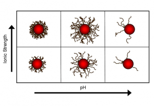 dom-colloid